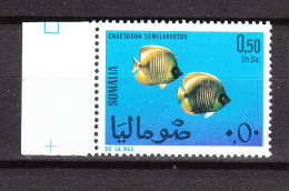 Somalia  - 1967. Pesci Disco. Discus Fish  MNH - Fishes