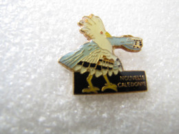 PIN'S   NOUVELLE  CALÉDONIE   CAGOU - Altri & Non Classificati