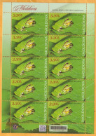 2023  Moldova Sheet Fauna, Nature „Red Book Of Republic Of Moldova. Reptiles And Batrachians.” 3,30 Sheet, Mint - Frösche