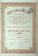 S.A.Crédit National Industriel - Action Priviligiée De 100 Francs - Anvers - 1925 - Bank & Insurance