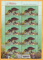 2023  Moldova Sheet Fauna, Nature „Red Book Of Republic Of Moldova. Reptiles And Batrachians.” 10,30 Mint - Altri & Non Classificati