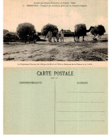 TU - HENRIVILLE - Transport Des Céréales - Société Des Fermes Françaises De Tunisie - Tunisia