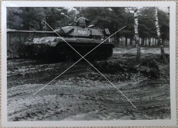 ABL Un Char M41 Walker Bulldog En Manœuvre Et Marqué 588 Photo Vers 1960-1970 - Guerre, Militaire