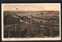 AK Wörrstadt, Talmühle Mit Blick Auf Neuborn  - Other & Unclassified