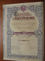 FRANCE - PARIS 1907 - Cie  FRANCAISE DE L'ANTIMOINE - ACTION DE 100 FRS - Other & Unclassified