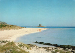 - STINTINO. - SPIAGGIA DELLA PELOSA  - Scan Verso - - Altri & Non Classificati