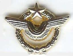 @@  Avion étoile Brevet De Pilote Armée De L'air (modèle 2) @@ma93b - Militair & Leger