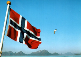 CPM - NORVÈGE - Drapeau ... - Noorwegen