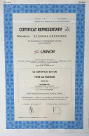 2 Certificats  Représentatif USINOR - émis Par SICOVAM - 10 BCP - Andere & Zonder Classificatie