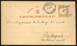 1877. Díjjegyes Levlap, Ritka Czegléd-Kassa Mozgóposta Bélyegzéssel, Tolcsva Kézírásos érvénytelenítéssel - Cartas & Documentos