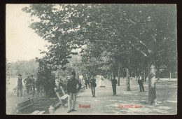 SZEGED 1910. Újszegedi Fasor, Kerékpár, Régi Képeslap - Hongrie