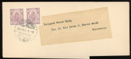 BUDAPEST 1922.  Lila Hírlapbélyeg Pár (!!) Teljes, Szép Címszalagon Simontornyára. - Lettres & Documents