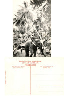 LK - Elephant Passing Through Native Village - Sri Lanka (Ceylon)