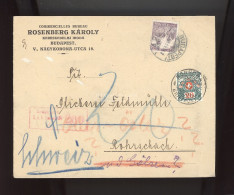 BUDAPEST 1918. Rosenberg, Cenzúrázott Céges Levél Svájcba, Portózva, Továbbküldve - Cartas & Documentos