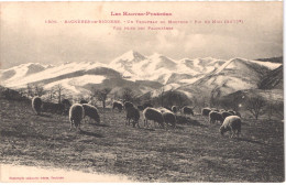 FR65 BAGNERES DE BIGORRE - Labouche 1309 - Troupeau De Moutons - Bagneres De Bigorre