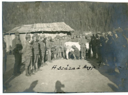 I. VH. " A Század Anyja" érdekes Fotó 11*8cm - Guerra, Militari