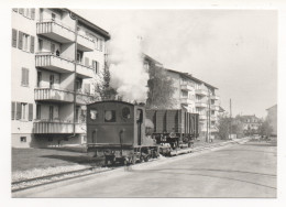 TRAIN  " RENFER " À BÖZINGEN - Trenes
