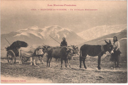 FR65 BAGNERES DE BIGORRE - Labouche 1311 - Un Attelage Montagnard - Attelage De Boeuf Ane Mulet Vache - Animée - Bagneres De Bigorre