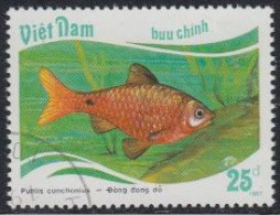 Vietnam Mi.Nr. 1900 Fische, Puntius Conchonius (25) - Viêt-Nam