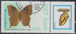 Vietnam Mi.Nr. 1993 Ausstellung INDIA'89, Schmetterling Anaea Echemus (50) - Viêt-Nam