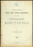 NAGYBECSKEREK  1901. Központi József Közkórház Betegforgalmának Kimutatása  26l - Alte Bücher