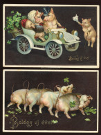 MALAC  2db Képeslap, 1909. Győr - Pigs