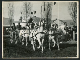 ÖTÖSFOGAT, Budapest Vásár, Régi Fotó 24*18 Cm 1940. Ca. - Old (before 1900)