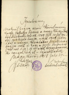 NAGYKÖRÖS 1918. Önkéntes Tűzoltó Testület, Igazolvány - Unclassified