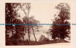 R127600 Old Postcard. Lake And Trees - Welt