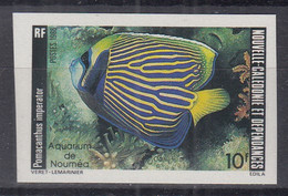 NEUKALEDONIEN  775, Postfrisch **, Geschnitten, Aquarium Von Nouméa: Kaiserfisch, 1986 - Ungebraucht