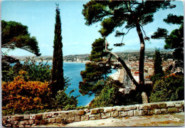 06 NICE - Vue Prise Du CHATEAU - Other & Unclassified