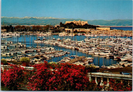 06 ANTIBES - Le Port De Plaisance, Le Fort Carre Et Les Alpes - Autres & Non Classés