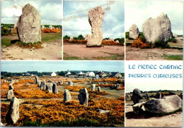 56 CARNAC - Carte Souvenir Des Alignements De Menhirs - Other & Unclassified