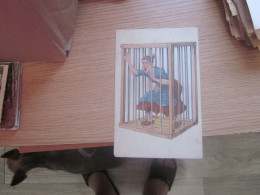 Humor, A Woman In A Cage Old Postcards - Humor