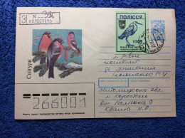 Ukraine 1995 Registered Domestic Cover (1UKR131) - Ukraine