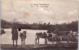 40 LANDES - Sue Le Bord D'un Etang - Sonstige & Ohne Zuordnung