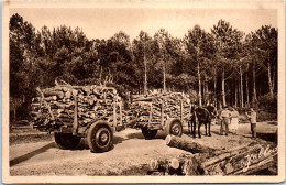 40 LANDES - Attelage De Mules - Otros & Sin Clasificación