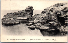 56 BELLE ISLE EN MER - La Pointe Des Poulains, Le Chien - Other & Unclassified