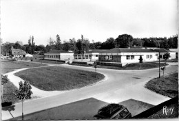 44 BLAIN - Hopital Psychiatrique Du Pont Pietin, Le Village - Autres & Non Classés