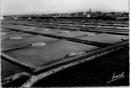 44 BATZ SUR MER - Les Marais Salants - Autres & Non Classés