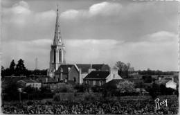 44 LA HAIE FOUASSIERE - La Sevre, Les Vignes, L'eglise, - Otros & Sin Clasificación