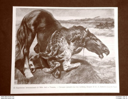 III Esposizione Arte Di Venezia Nel 1899 Cavallo Vs Pantera Disegno Di Sartorio - Vor 1900