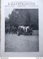 L'Illustrazione Italiana 17 Giugno 1917 WW1 Giovanni Randaccio D'Annunzio Adige - Other & Unclassified