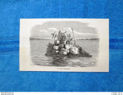 Gravure Année 1864 - Le Radeau-ménagerie - La Zattera-serraglio - Vor 1900
