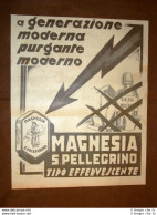 Pubblicità Del 1931 Magnesia San Pellegrino Tema #02 - Other & Unclassified