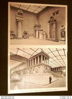 Berlino Nel 1902 Museo Greco Di Pergamo - Andere & Zonder Classificatie