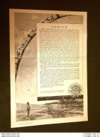 Aprile 1886 Illustrazione Di Sezanne E Versi Di Altobelli - Voor 1900