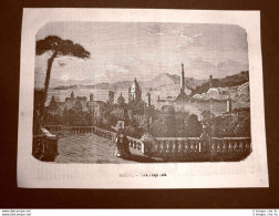 Rarissima Veduta Di Genova Del 1866 Panorama Della Rada Liguria - Before 1900