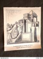 La Presentazione Al Tempio Opera Di Giotto Cappella Dell'Arena Padova Nel 1886 - Antes 1900