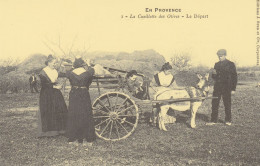 France En Provence    La Cueillette Des Olives   Le  Départ - Landwirtschaftl. Anbau
